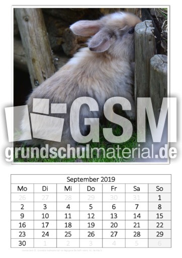 September_Kaninchen_2.pdf